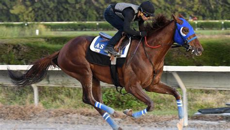 fast horse results|Equibase .